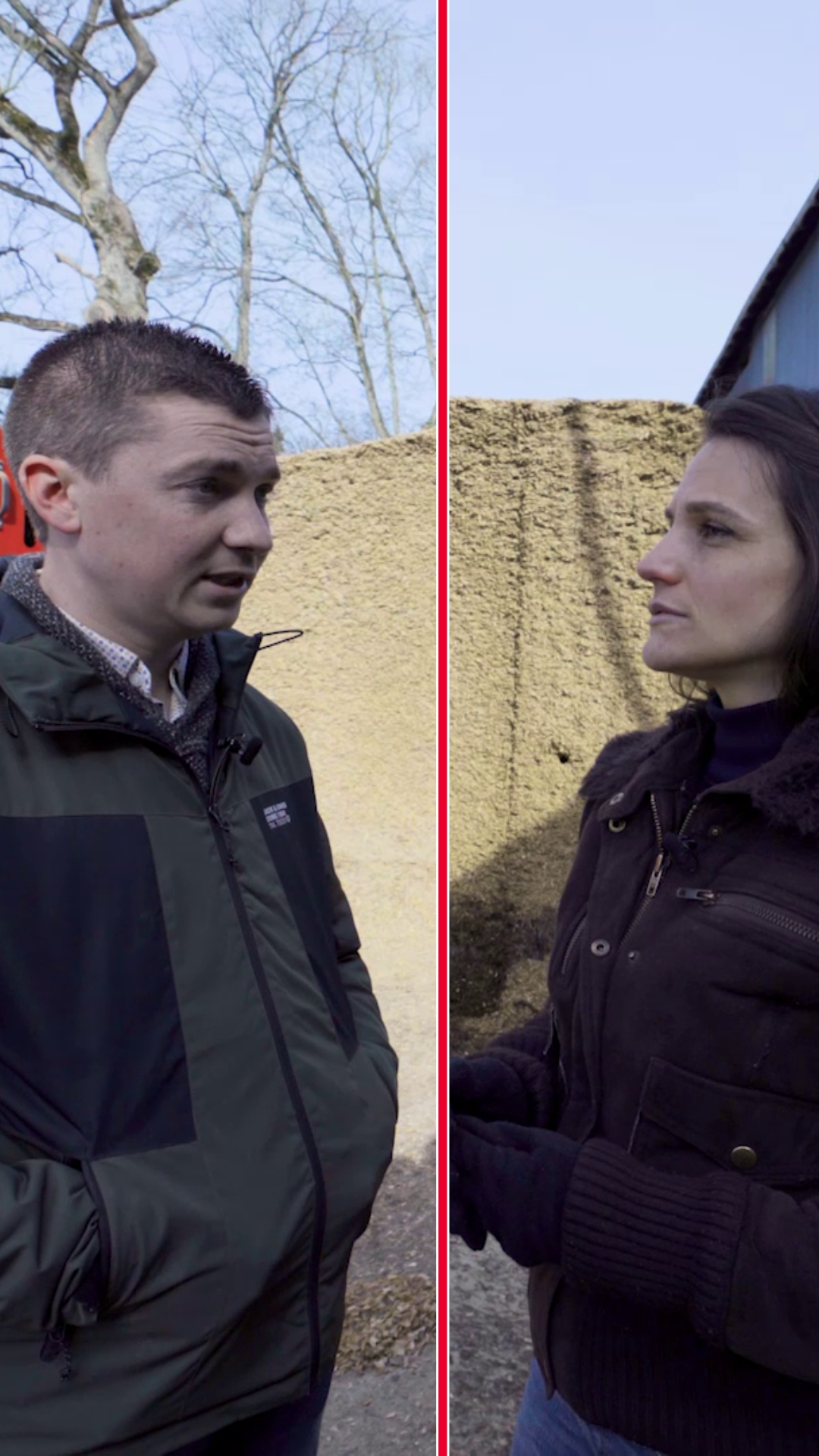 Comment réussir son silo d'ensilage de maïs ?